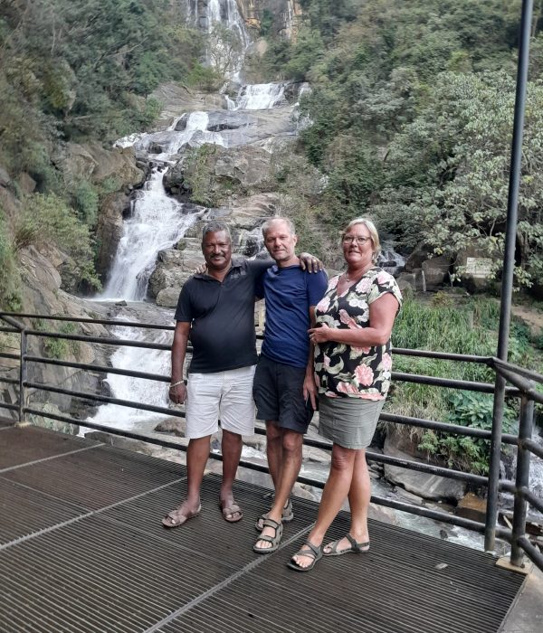 29416e3a-3f48-4f45-b4d9-a2bb3767ae3c