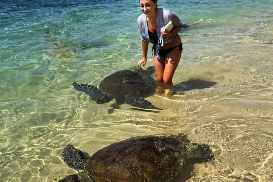 6b4355378f34ad6bac4573804b2f0a37