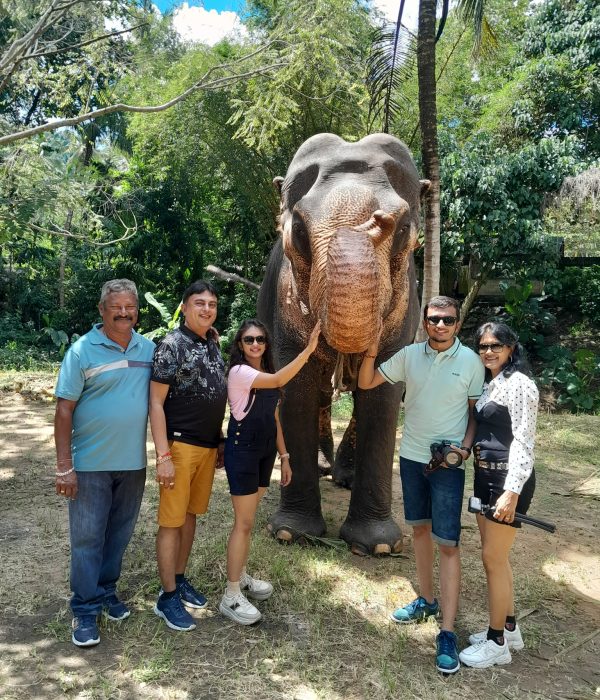 c323d445-27f4-4e24-bf1c-f203e85ff209